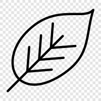 leaves, foliage, tree, growth icon svg