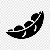 legumes, healthy, nutritious, high in fiber icon svg