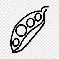 legumes, healthy, protein, vegetables icon svg