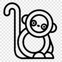 lemur, primates, Madagascar, island icon svg