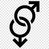 lesben, bisexuell, transgender, queer symbol