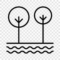 limbs, leaves, bark, branches icon svg