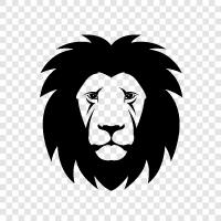 lion, lioness, lionesses, big cat icon svg