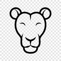 lionesses, lion, big cat, big cats icon svg