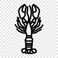 lobster fishery, lobster traps, lobster fishing, lobster processing icon svg