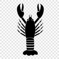 lobster fishery, lobster trap, lobster pot, lobster trap fishery icon svg