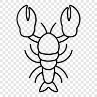 Istakoz balıkçılığı, lobster tuzakları, lobster işleme, lobstereat ikon svg