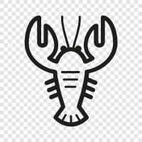 lobster traps, lobster fishing, lobster meat, lobster tails icon svg