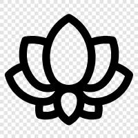 Lotus, Flower, Bloom, Plant icon svg