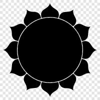 Lotus, Blume, Blüte, Pflanze symbol