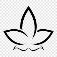Lotus, Flower, Flowers, Beautiful icon svg