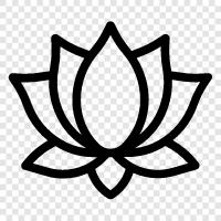 Lotus, Çiçekler, Floristler, Bouquet ikon svg