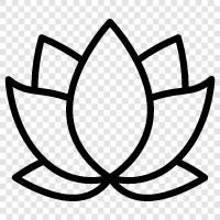 Lotus, Flower, Blooming, Bloom icon svg