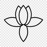 Lotus, Flowers, Bloom, Fragrance icon svg