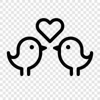 liebe vögel, sittich, haustier, vogel symbol