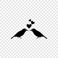 love birds, love bird pictures, love birds pictures, love bird images icon svg