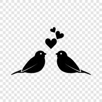 Love Birds, Singing Lovebirds, Parrots, Pet icon svg