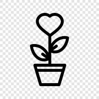 love blossoms, love flourishes, love matures, love grows icon svg