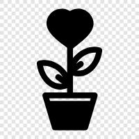 love blossoms, love expands, love flourishes, love flourishes in icon svg