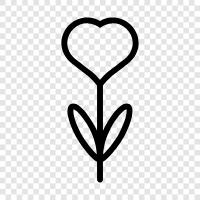 Liebe Blume, Romanze Blume, 12Step Blume, Freundschaft Blume symbol