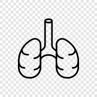 lung cancer, lung infection, lung function, lung function test icon svg