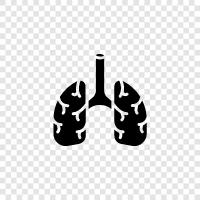 lung function, lung diseases, lung cancer, lung infection icon svg