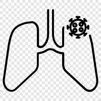 lung, bronchus, bronchioles, lung cancer icon svg