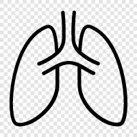 Lungen, Atem, Lungenkrebs, Asthma symbol