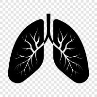 lungs, pneumonectomy, surgery, bron icon svg