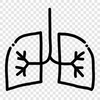 lungs, breathing, oxygen, carbon dioxide icon svg