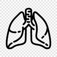 lungs, breathing, pulmonary, oxygen icon svg