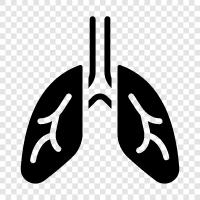 lungs, breathing, inhalation, oxygen icon svg