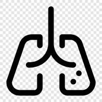 lungs, breathing, breathing disorders, lung cancer icon svg