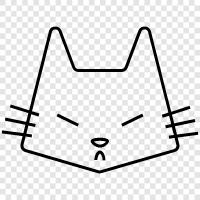 mad cat woman, mad cat meme, mad cat movies, mad cat comic icon svg