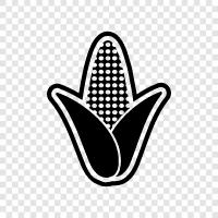 maize, cornstarch, flour, popcorn icon svg