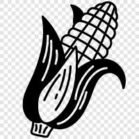 maize, field, agriculture, farming icon svg