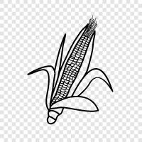 кукуруза, зерно, ферма, сельское хозяйство Значок svg