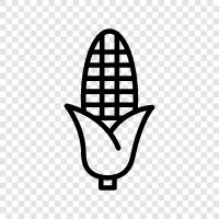 maize, corn syrup, sweet corn, popcorn icon svg