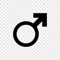 Male, Male Sex, Human, Males icon svg