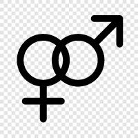 male, female, homosexuality, bisexuality icon svg