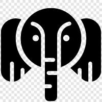 Mammal, Animal, Conservation, Trunk icon svg