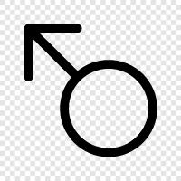 man, male sex, men, masculinity icon svg