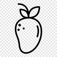 mango icon svg