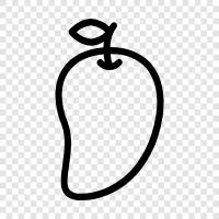 mangoes, mangoes for sale, mangos for sale, mangost icon svg