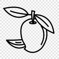 mangoes, mangos, fruit, fruit juices icon svg