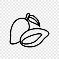 mangoes, mango flavor, mangoes for sale, mangoes for ju icon svg