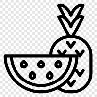 mangos, papayas, pineapples, bananas icon svg