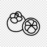 mangosteen fruit, mangosteen juice, mangosteen extract, Mangosteen icon svg