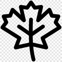 Maple Leaf Club, Maple Leafs, Maple Leaf Gardens, Maple Leafs Hockey Club icon svg