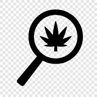 marijuana, weed, cannabis, joints icon svg